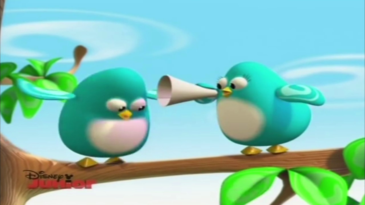 loud bird