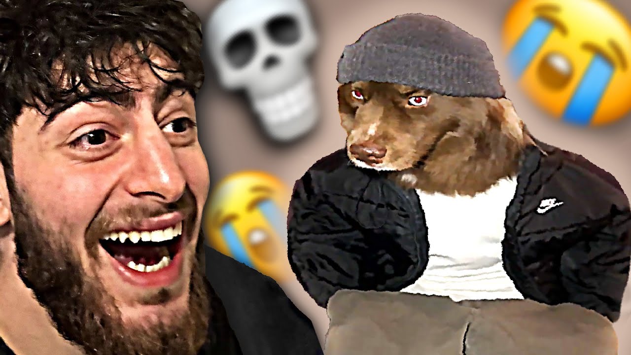 BYILHAN must not LAUGH at your weird TIKTOK TRENDS 💀😭 ... (react media)