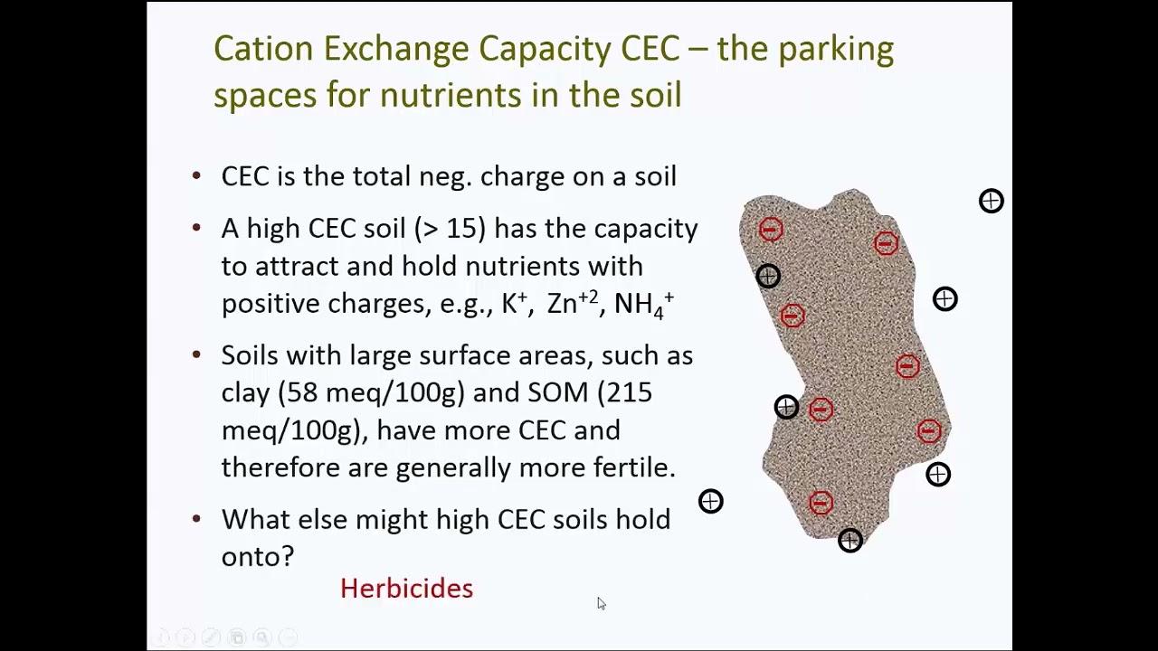 Soil Fertility and Fertilization