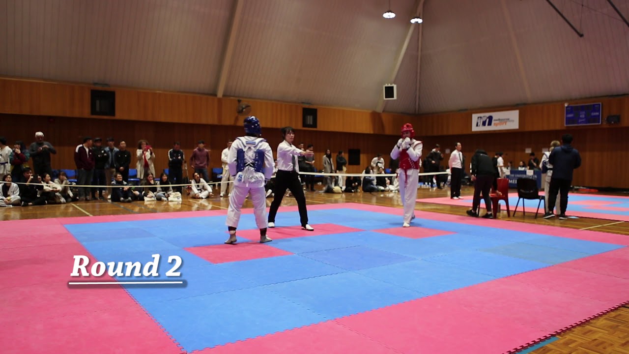 2019 VIUC - Hun LEE (MON) VS Florent LACROIX (MU) - Male Black Sparring