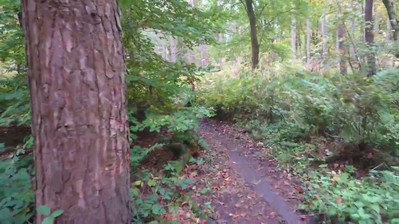 Redmires POW Army Camp, Redmires Ruins, #sheffield