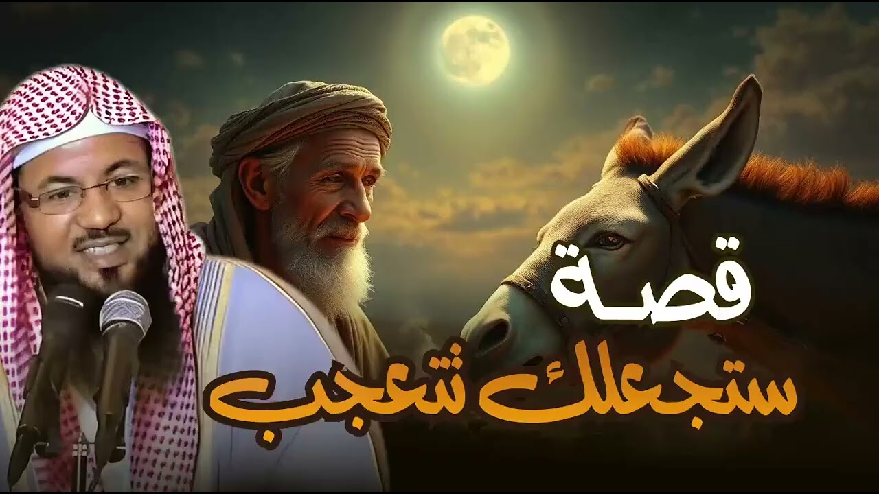 قصص قبل النوم   أعجب وأغرب القصص التي ذكرت في القرآن الكريم! قصص مؤثرة جدًا   الشيخ محمد الشنقيطي