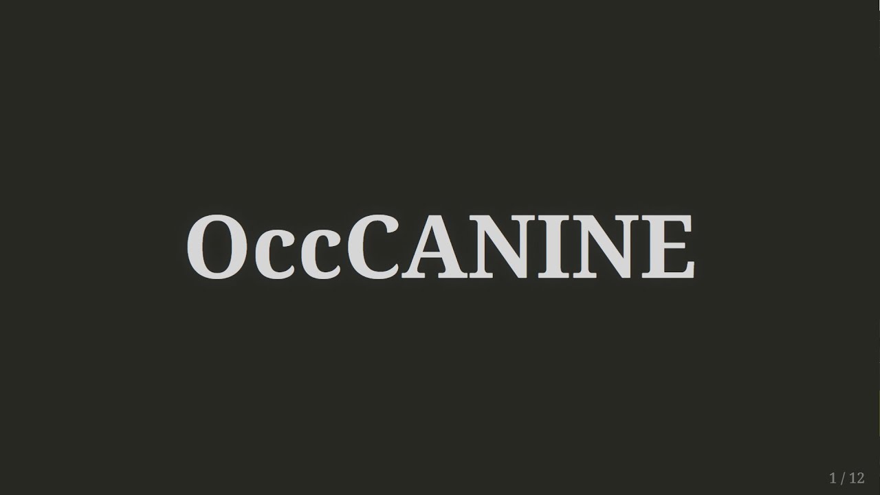 How to use OccCANINE