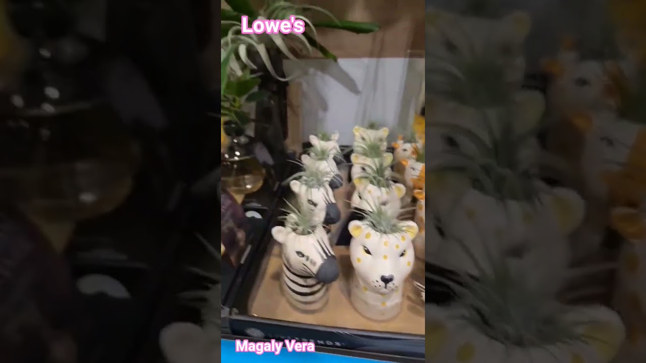 Lowe's #plantasdecasa #plants #plantar #plantlover #plantadeinterior #suculentaslove