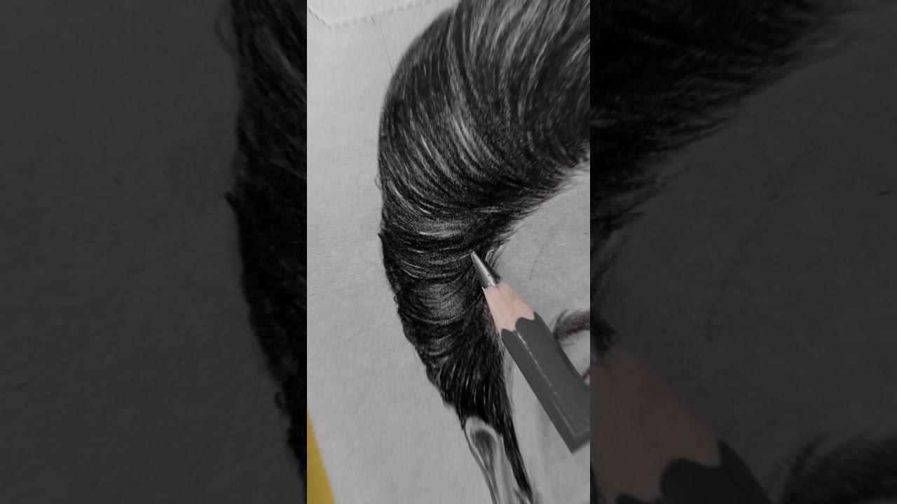Noby Marcose pencil drawing #starmagic #noby #nobymarcose #premierpadmini #lakshminakshathra