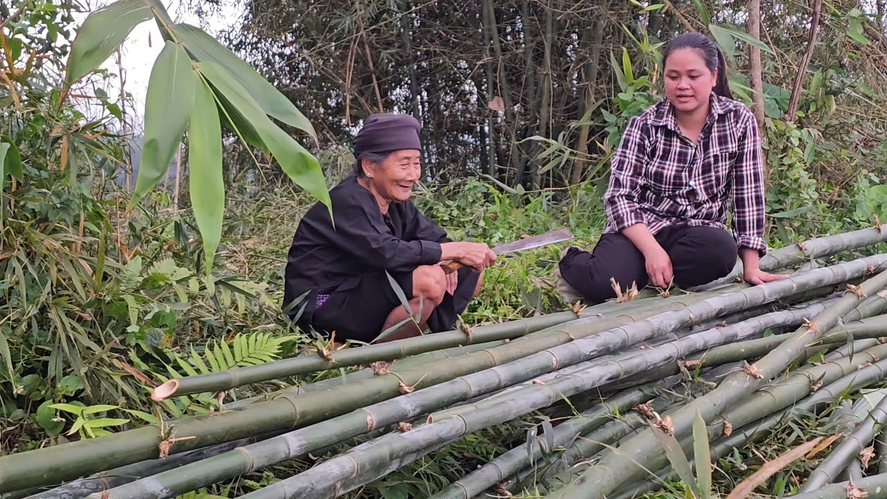 The old woman and the homeless girl cut bamboo to renovate their house.