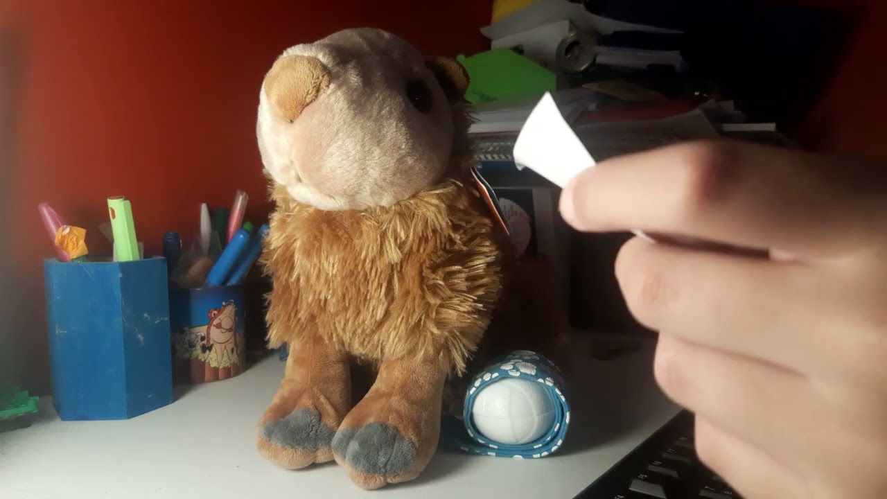 Ma première vidéo ASMR. Roleplay vétérinaire.