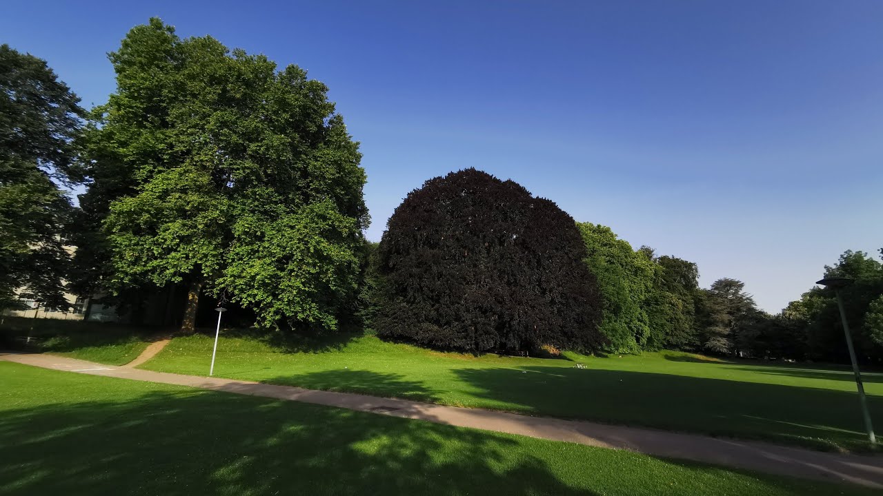 Der Margarethen Park 🇨🇭Basel Teil 1. #4k