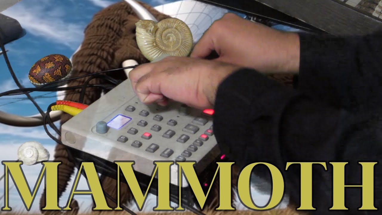 Live ELECTRONICA Performance of 'MAMMOTH' - Written and Performed with the Elektron Model Cycles