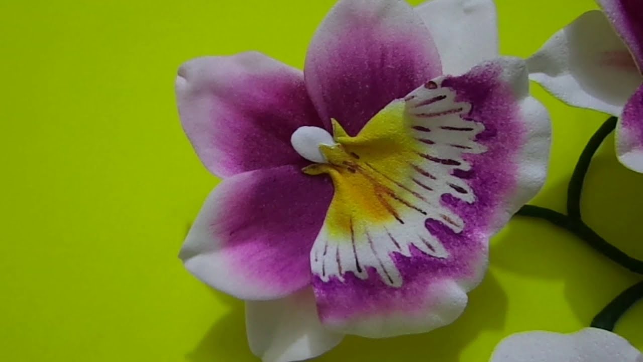 COMO FAZER ORQUÍDEA MILTONIA  EM EVA, MOLDADAS À MÃO