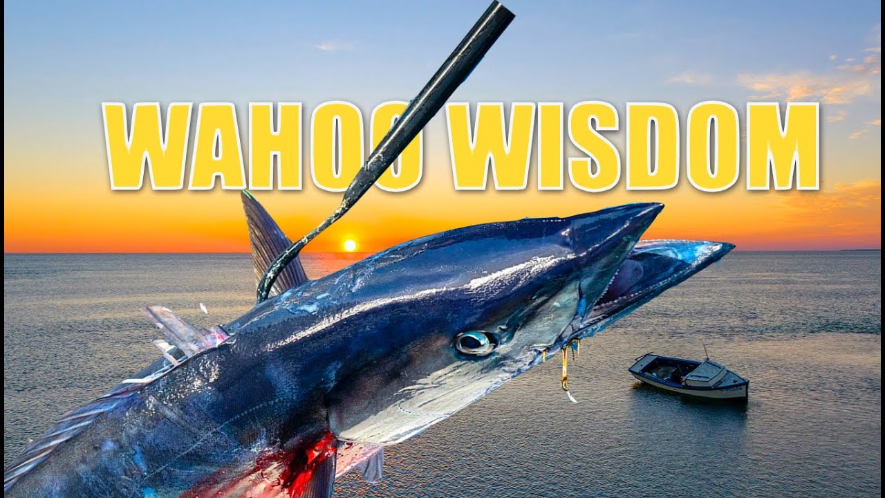 WAHOO WISDOM | Into The Blue