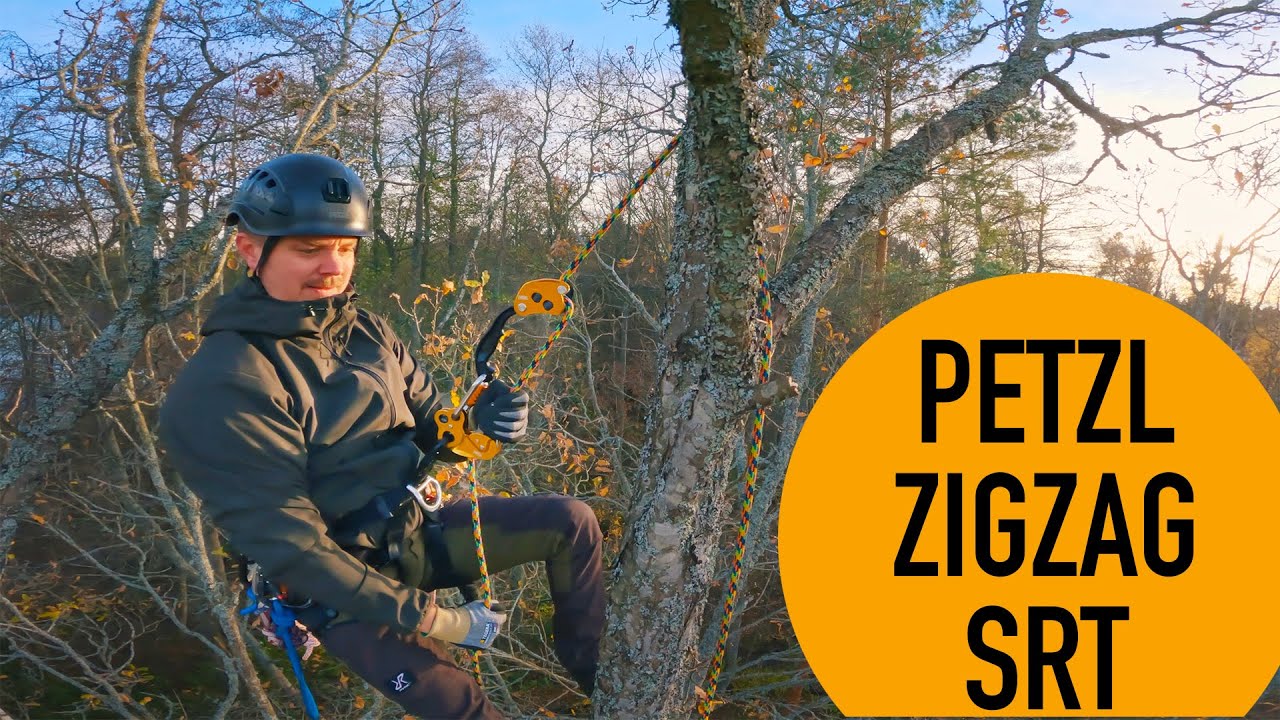 Tree Climbing SRT style with Petzl ZigZag + a Big Shot FAIL