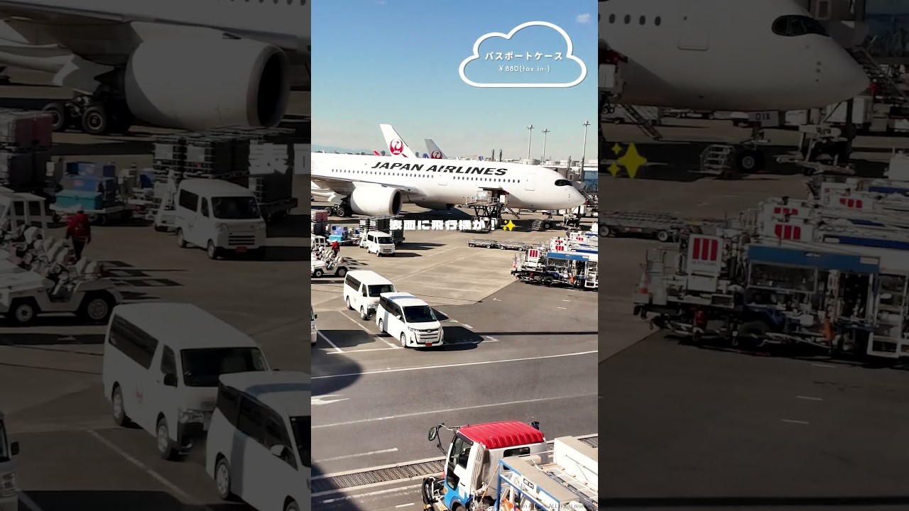 JAL(日本航空)と3COINSがコラボレーション✨️本日発売！#japanairline #JAL #japanairlines #日本航空 #3coins