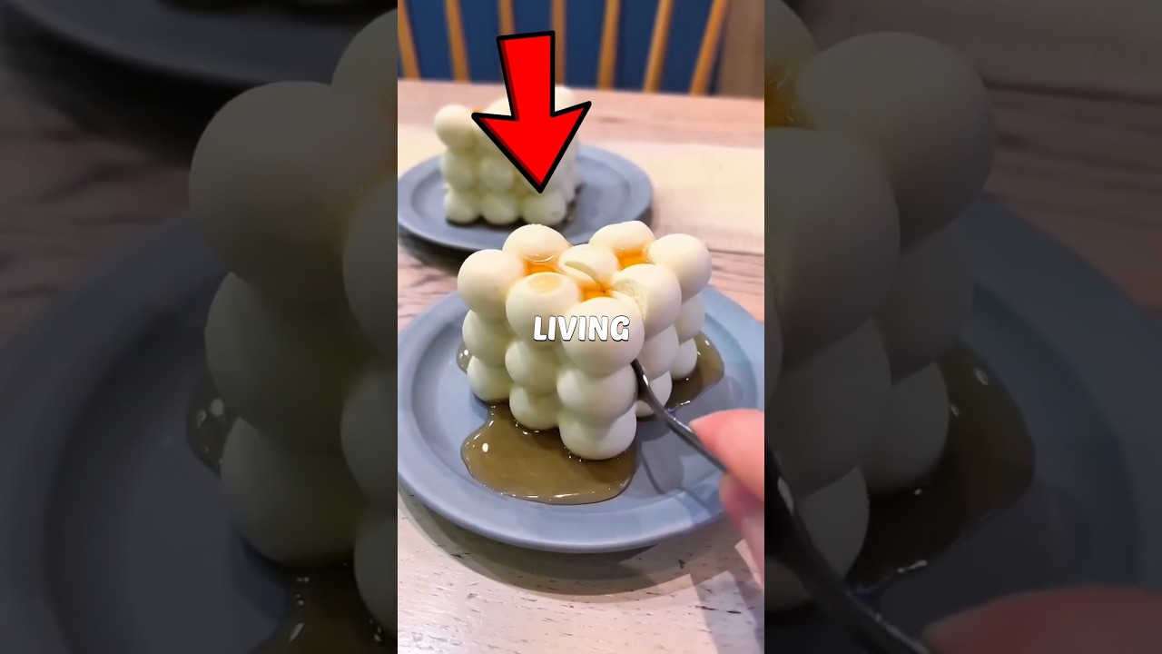 3 Things That Prove Japan is Living In 2050!