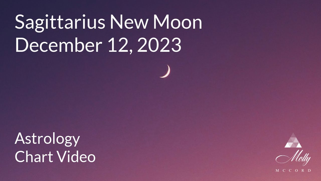 Sagittarius New Moon- The Universe Is Saying YES to Movement Even If You Are Hesitating - Astrology