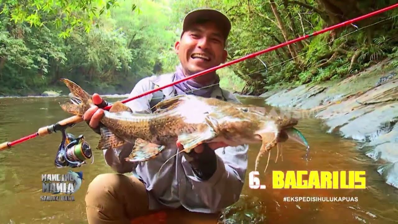 7 Strike Istimewa | MANCING MANIA STRIKE BACK (14/12/25) P4