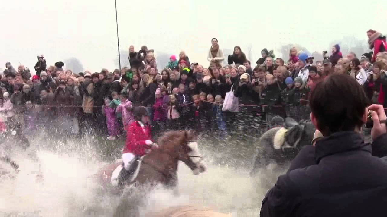 Hubertusjagt 2011 SPR(2/2)