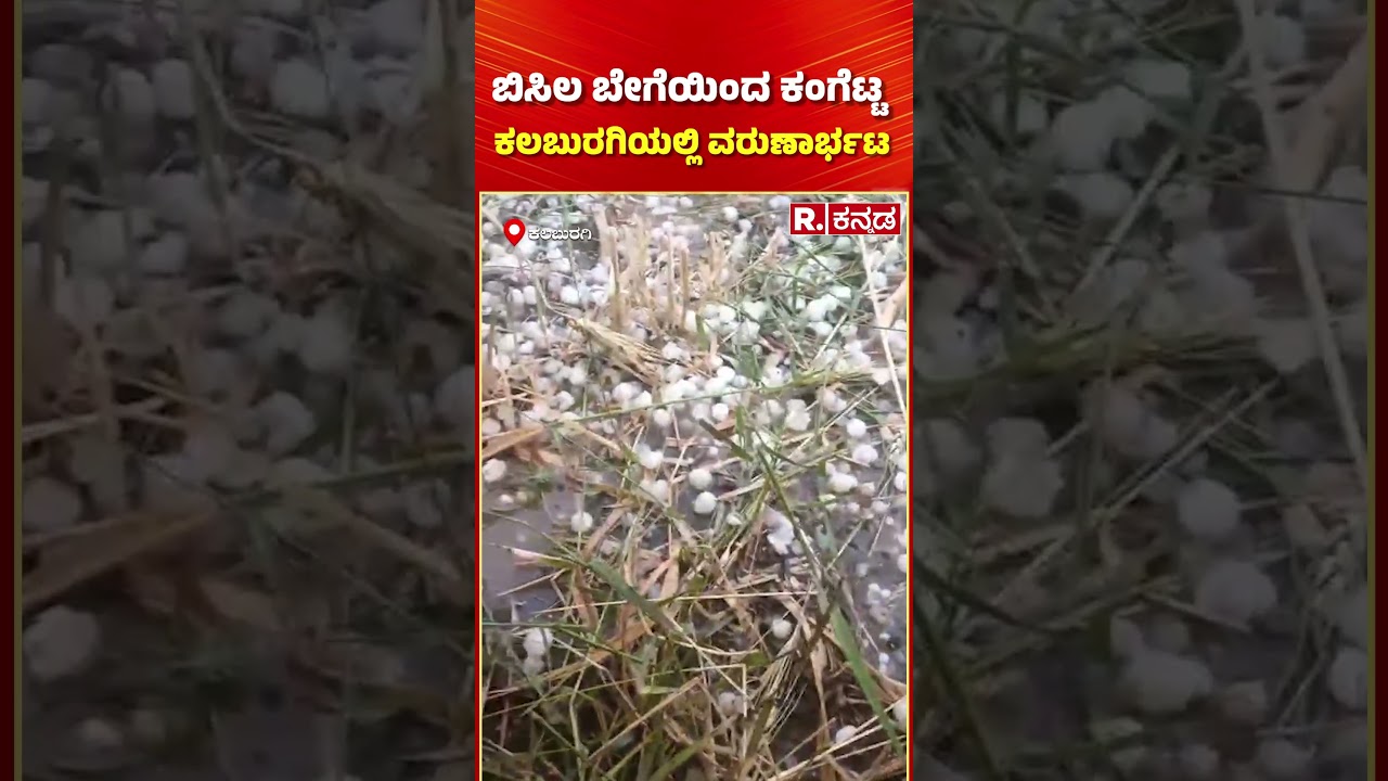 Rain Effect In Kalaburagi: ಬಿಸಿಲ ಬೇಗೆಯಿಂದ ಕಂಗೆಟ್ಟ ಕಲಬುರಗಿಯಲ್ಲಿ ವರುಣಾರ್ಭಟ