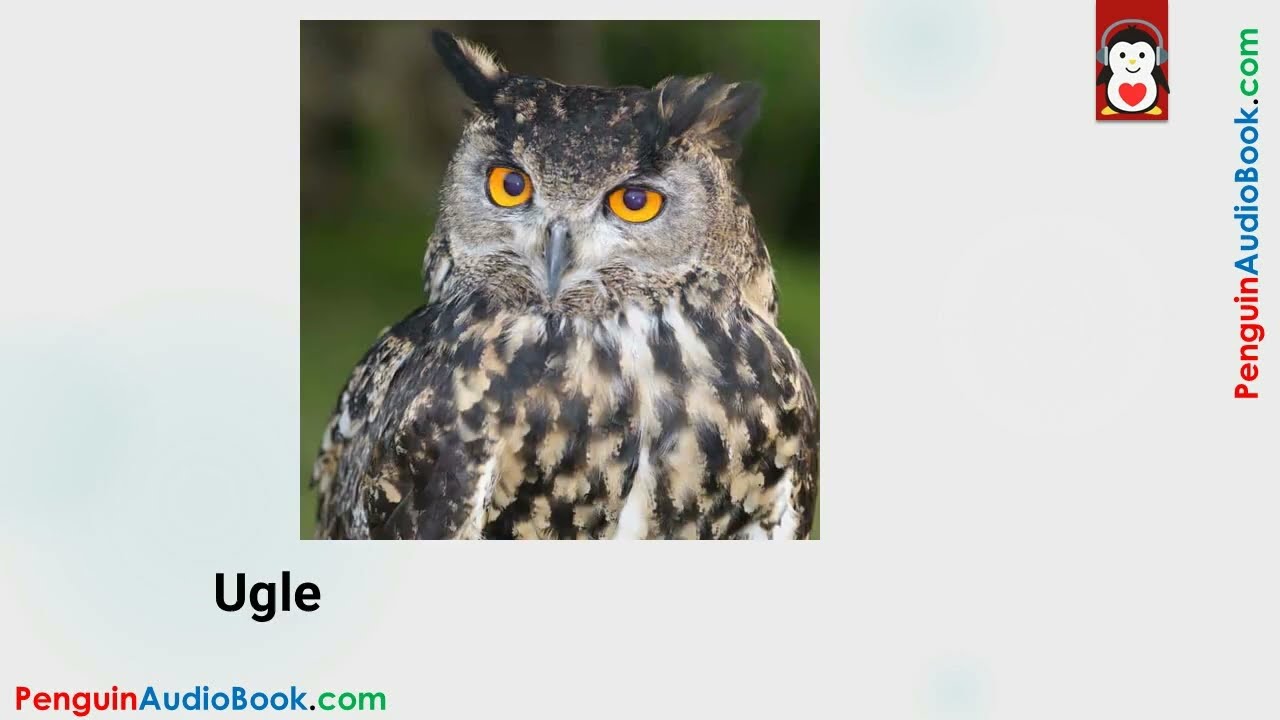 Apprendre les Animaux en Norvégien 👗 | Dictionnaire Visuel pour Débutants