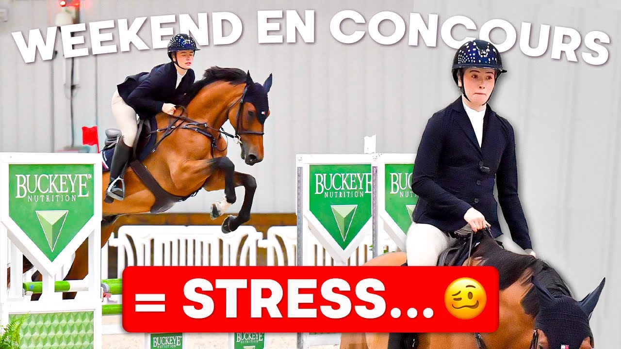 vlog du mercredi 5 : CSO et grosse remise en question avec Equinox...