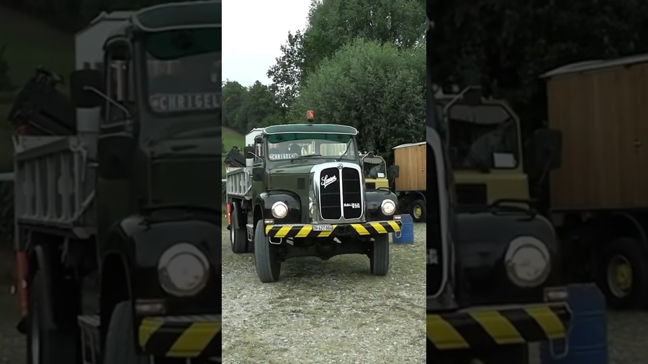 Most Adored Swiss Truck Brand