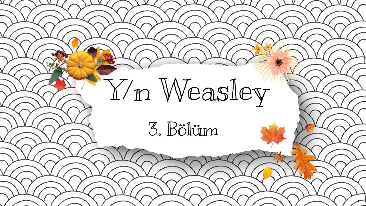 Y/n Weasley -3. Bölüm [Harry Potter & Y/n]