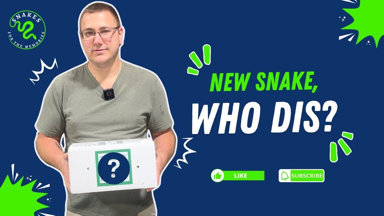 Unboxing My New Snake!🌶️