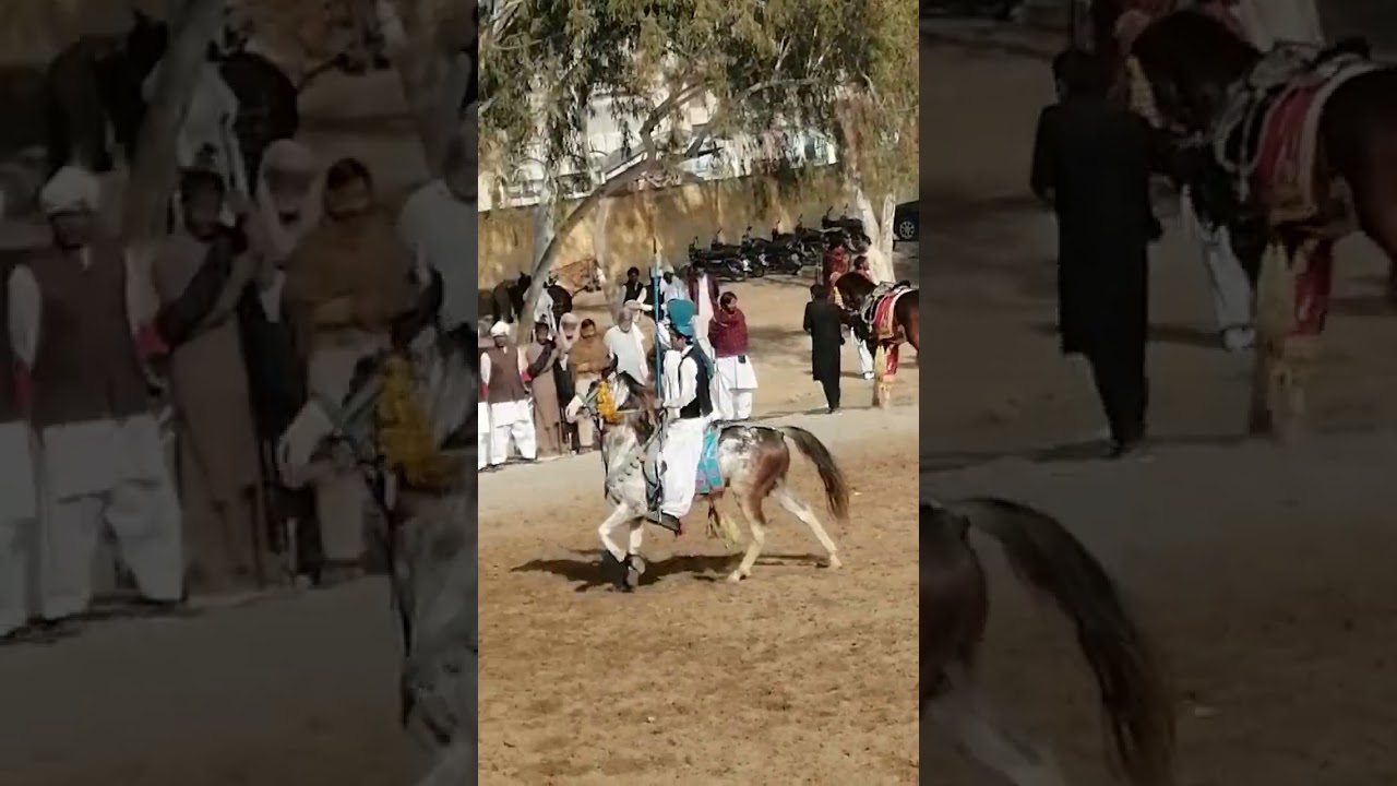 Khan wajahat ullah khan Awan |mianwali stadium | one day neza bazi |
