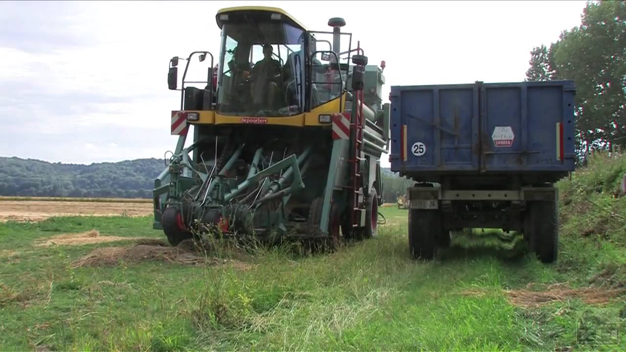 Ecapsulage du lin