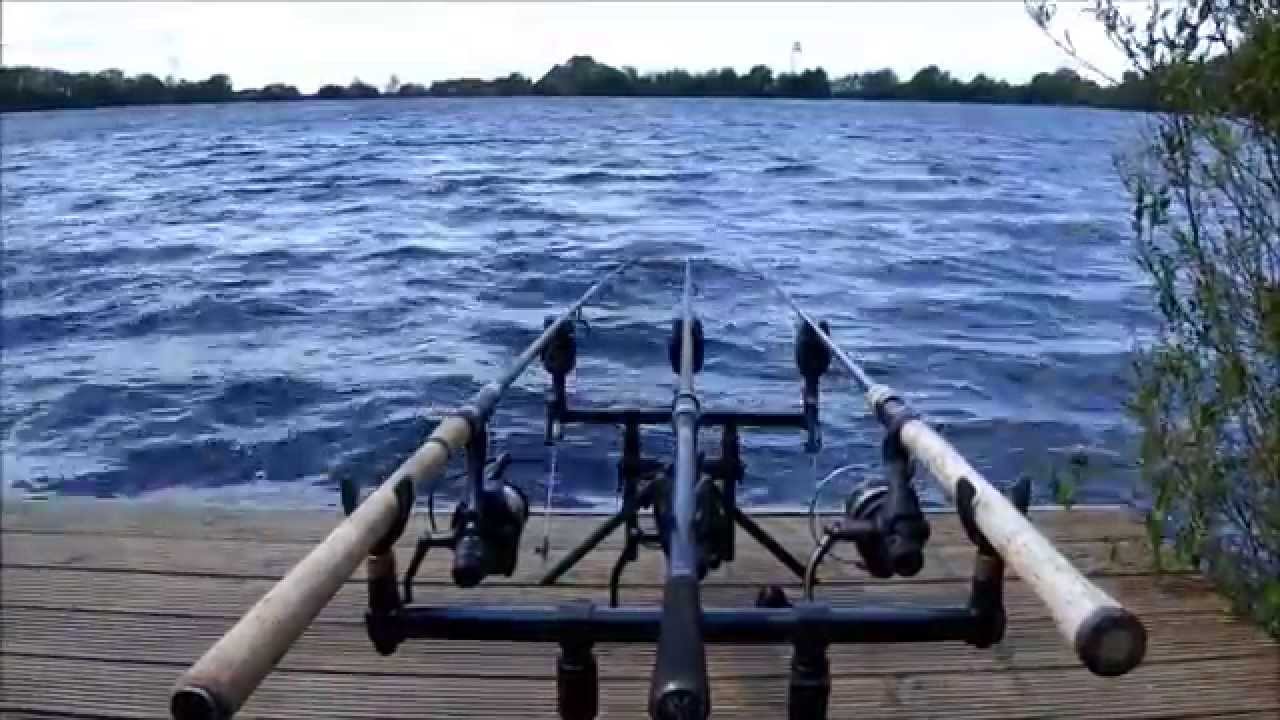 Karperplas Simavis: visclub de Doellozen deel 13