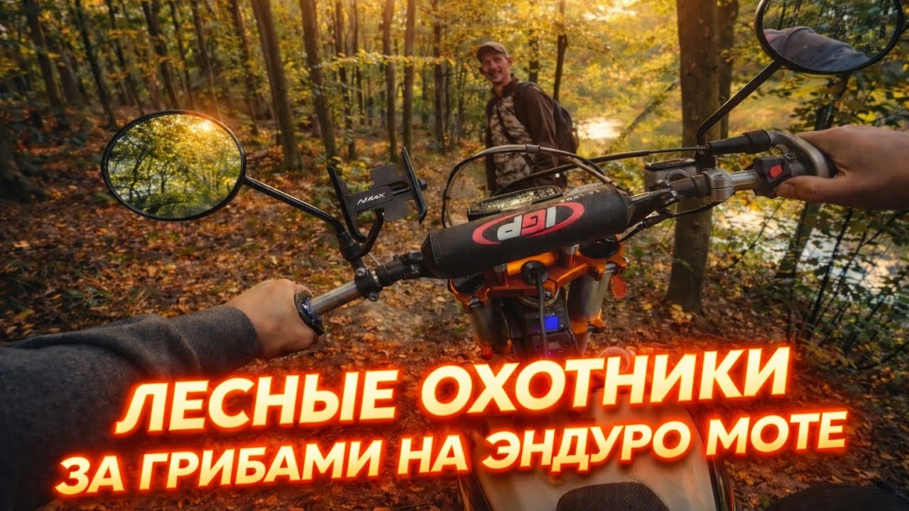 ЗА ГРИБАМИ ВДВОЕМ НА ЭНДУРО МОТЕ #грибы #мот #эндуро 