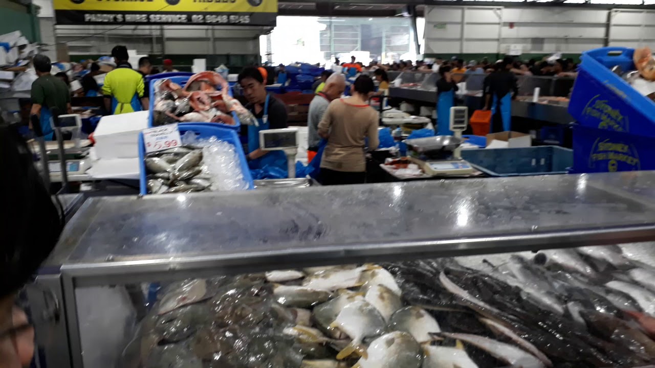 Aussiebuzz : Flemington Market seafood section 2