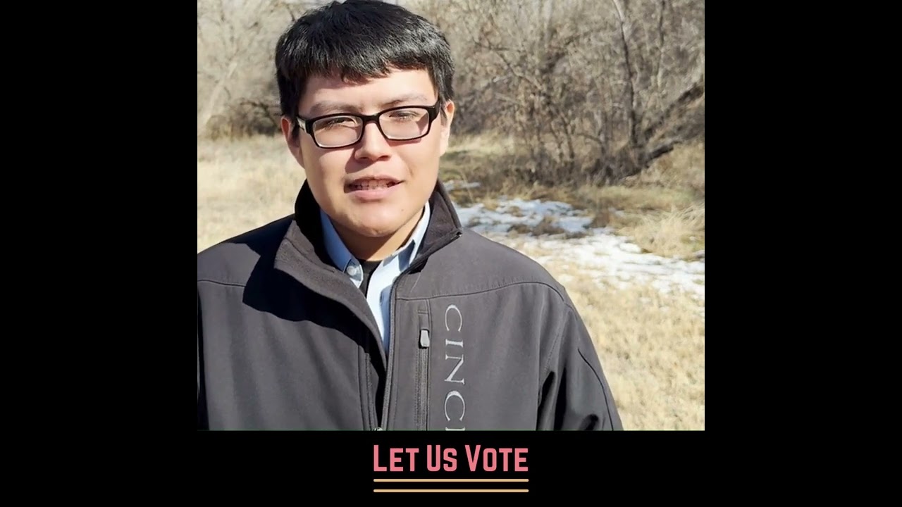 Get Involved at LetUsVote.org