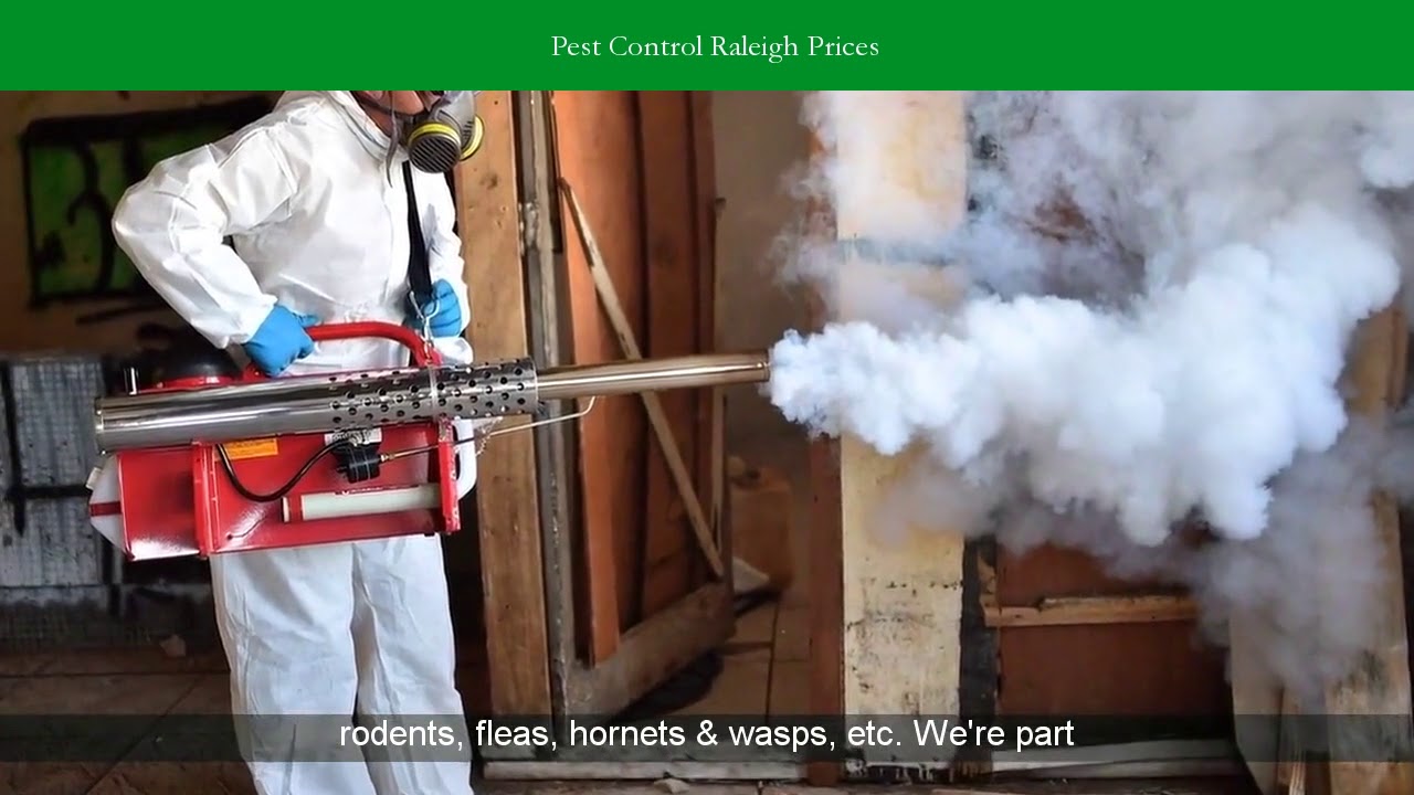 Pest Control Raleigh NC Flea