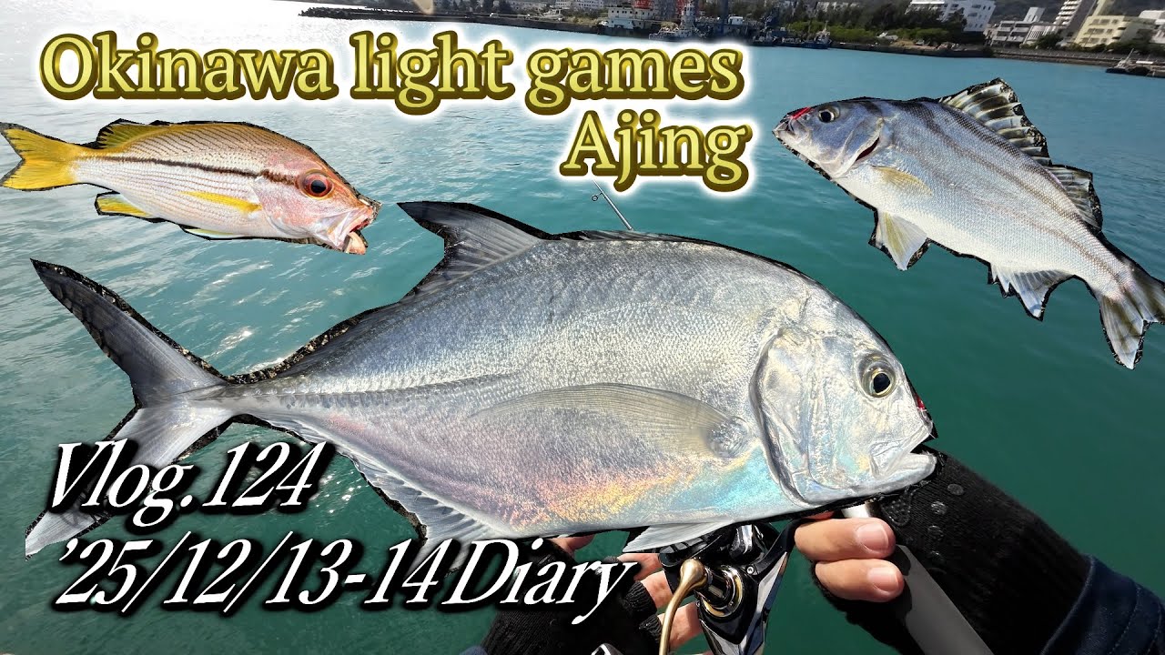 【ルアー釣り】入れ食い　堤防でメッキ・クワガナー　テトラ帯でカスミアジ・タテフエダイ　Vlog.123 '25年12月6日・7日　#沖縄 #ルアー釣り＃アジング＃ショアジギング
