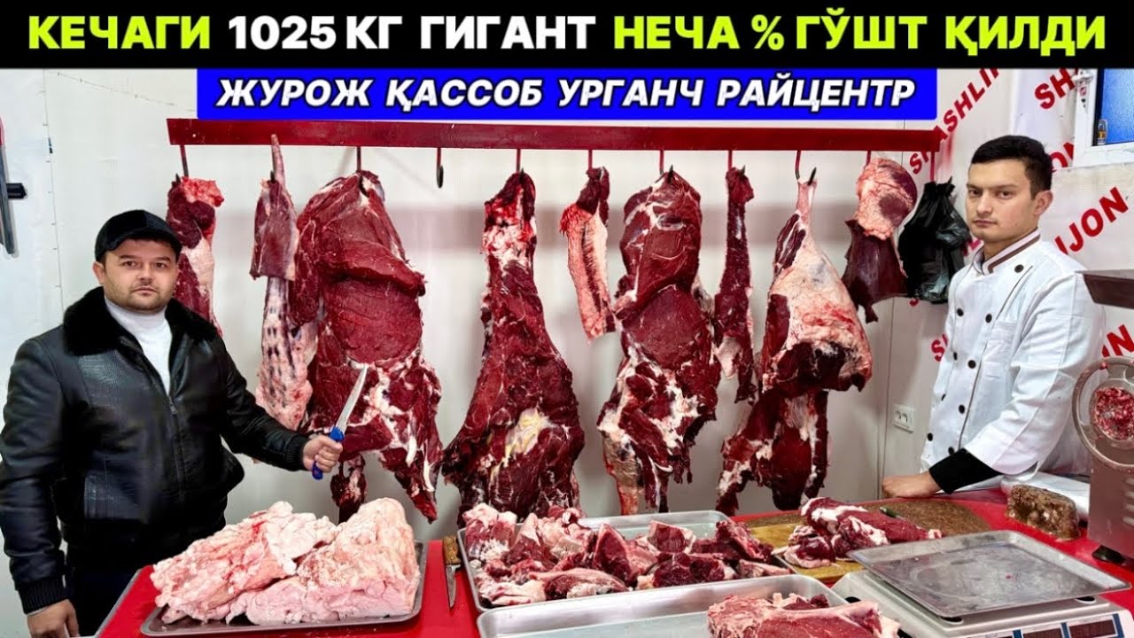 СУРОЖ ҚАССОБ КЕЧАГИ 1025 КГ БУҚАНИ СЎЙДИ. УРГАНЧ РАЙЦЕНТР  19-января 2026 г.