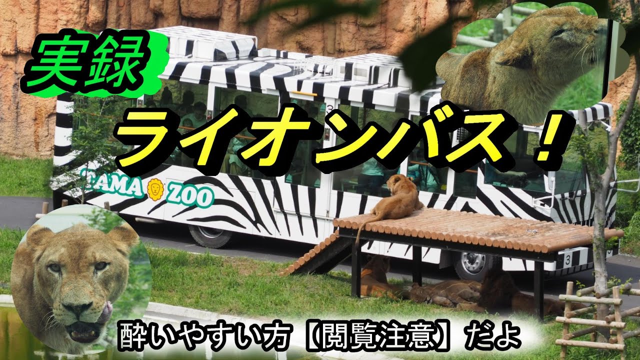 LION BUS 【実録】ライオンバス ！酔いやすい方【閲覧注意】