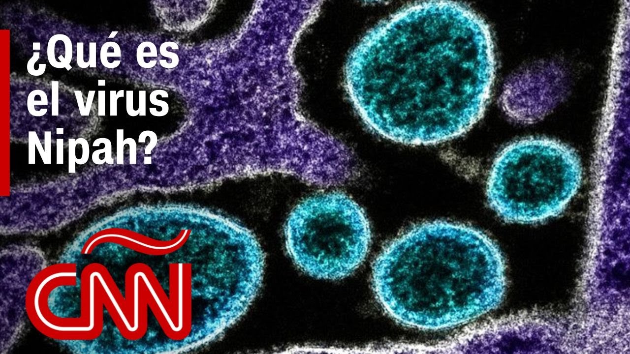 ¿Qué es el virus Nipah y cuáles son sus síntomas?