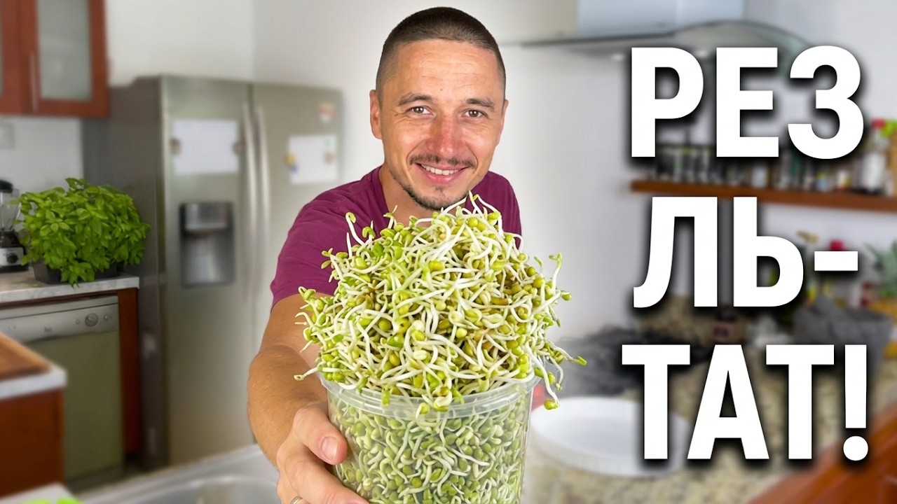 Ростки дома 🌱 Технология проращивания ростков маша, сои
