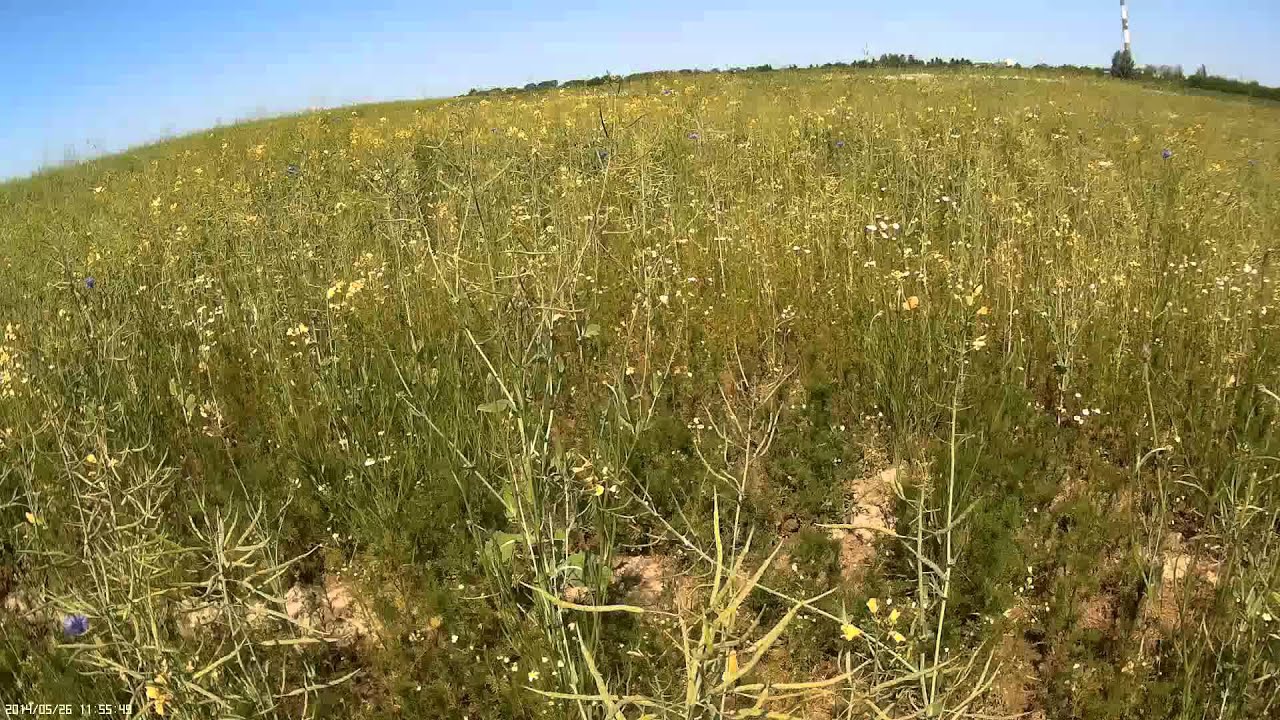 TriCop v2.0 - loty pod silny wiatr