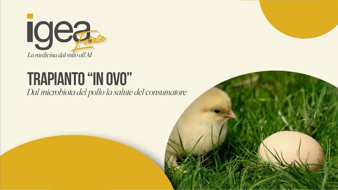 Igea Estate. La Medicina dal mito all'AI: Trapianto "in ovo"