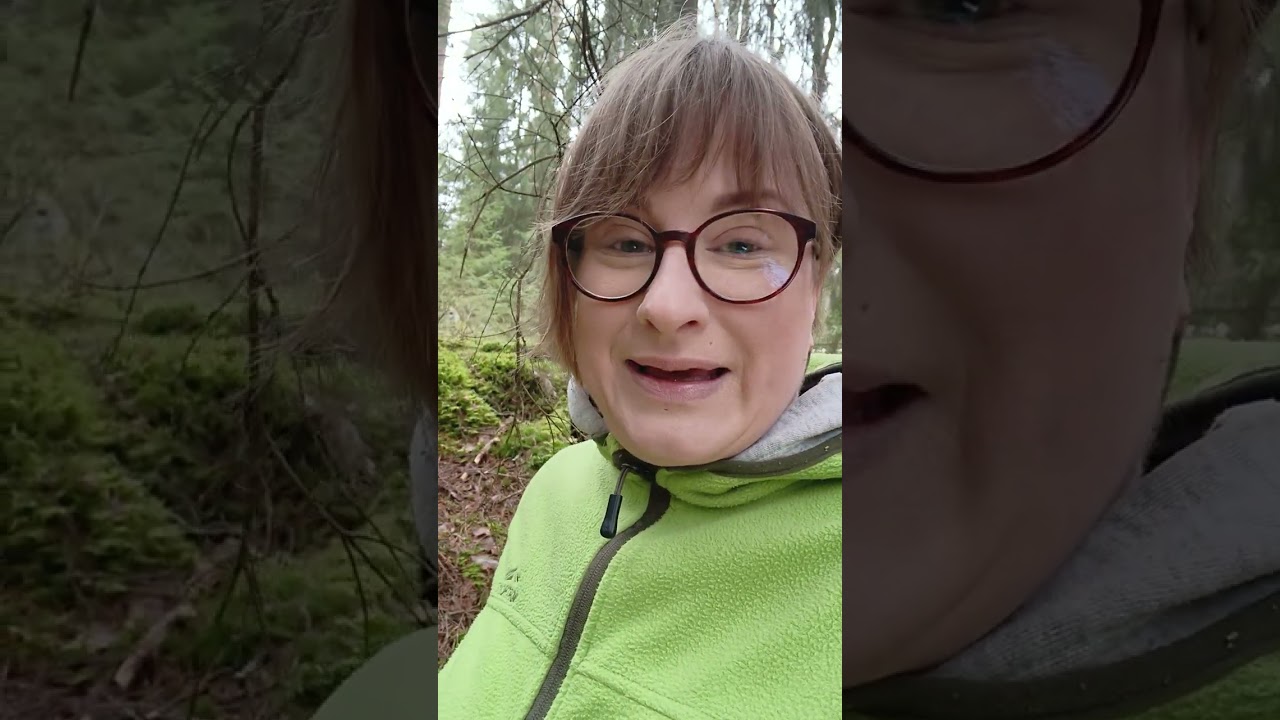 Terveisiä metsästä 💚
