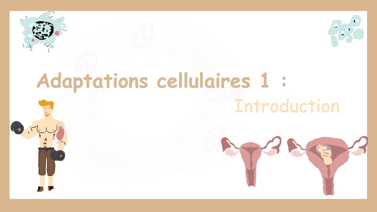 Adaptation Et Lésion Cellulaire( Partie 1): Introduction.