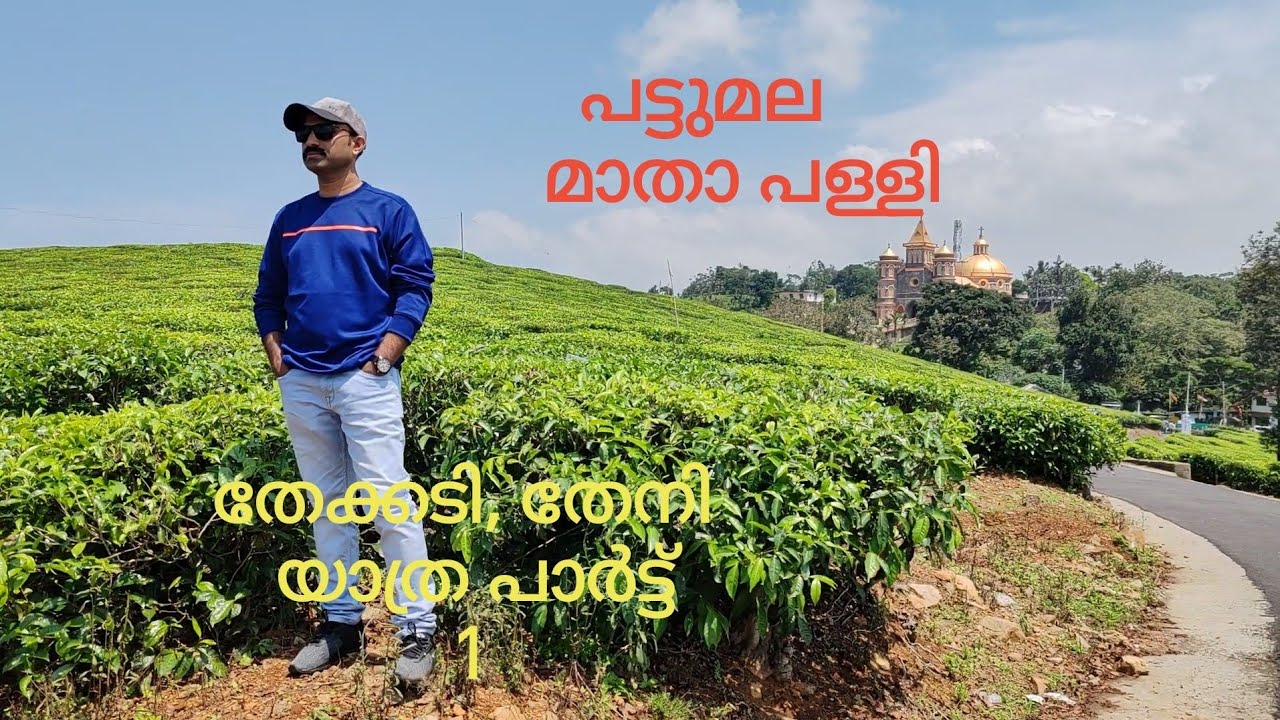 തേയിലതോട്ടങ്ങൾക്ക് നടുവിലെ മാതാ പള്ളി /pattumala velankanni matha church