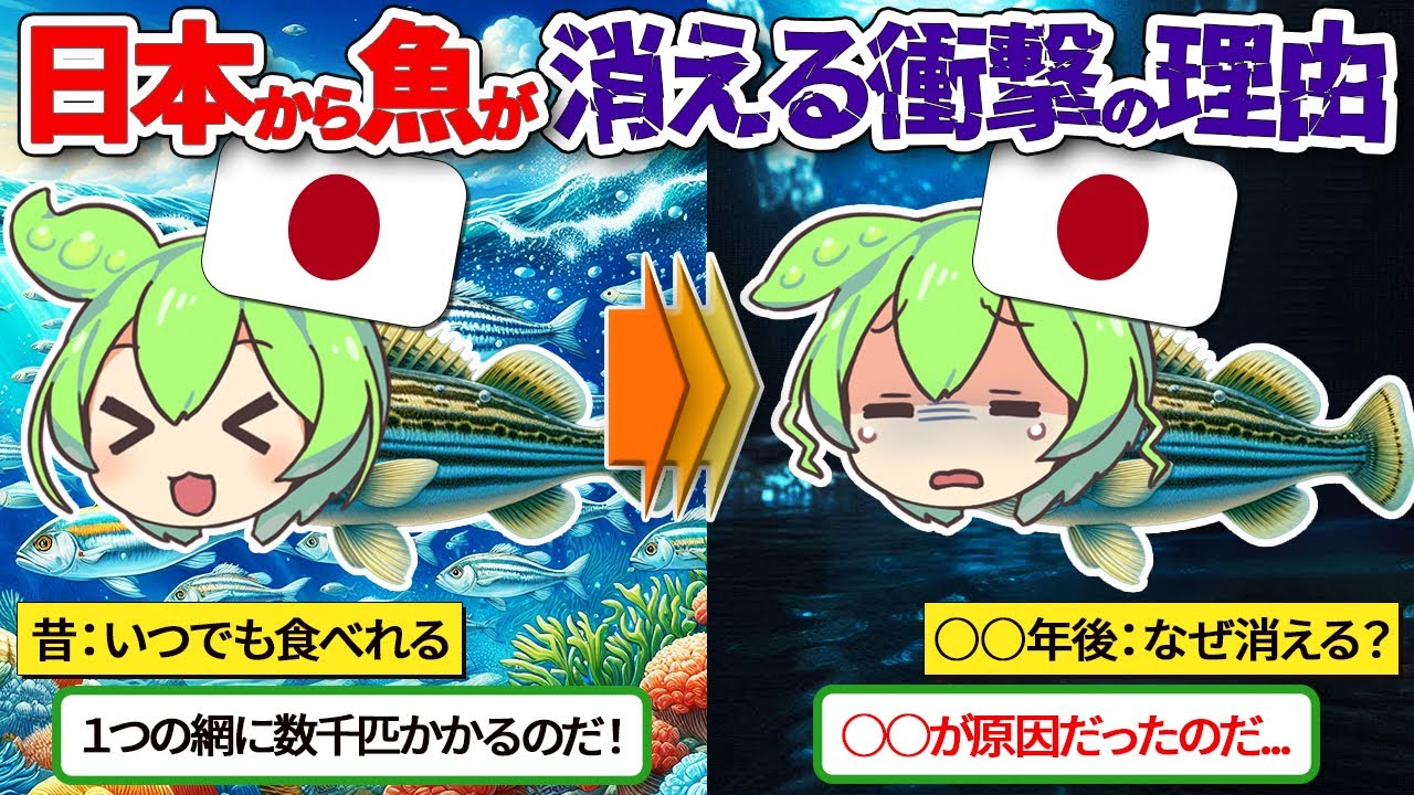 【闇】日本の食卓から魚が消えると言われている理由とは？【ずんだもん ゆっくり解説】