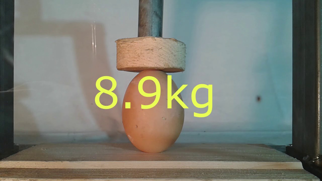 Mekkora terhelést bír el egy tojás?