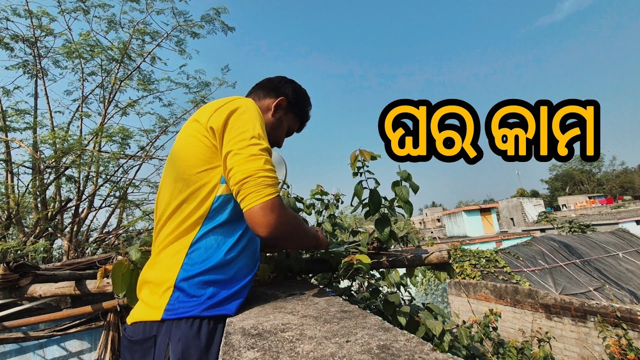 ଘର କାମ 😆