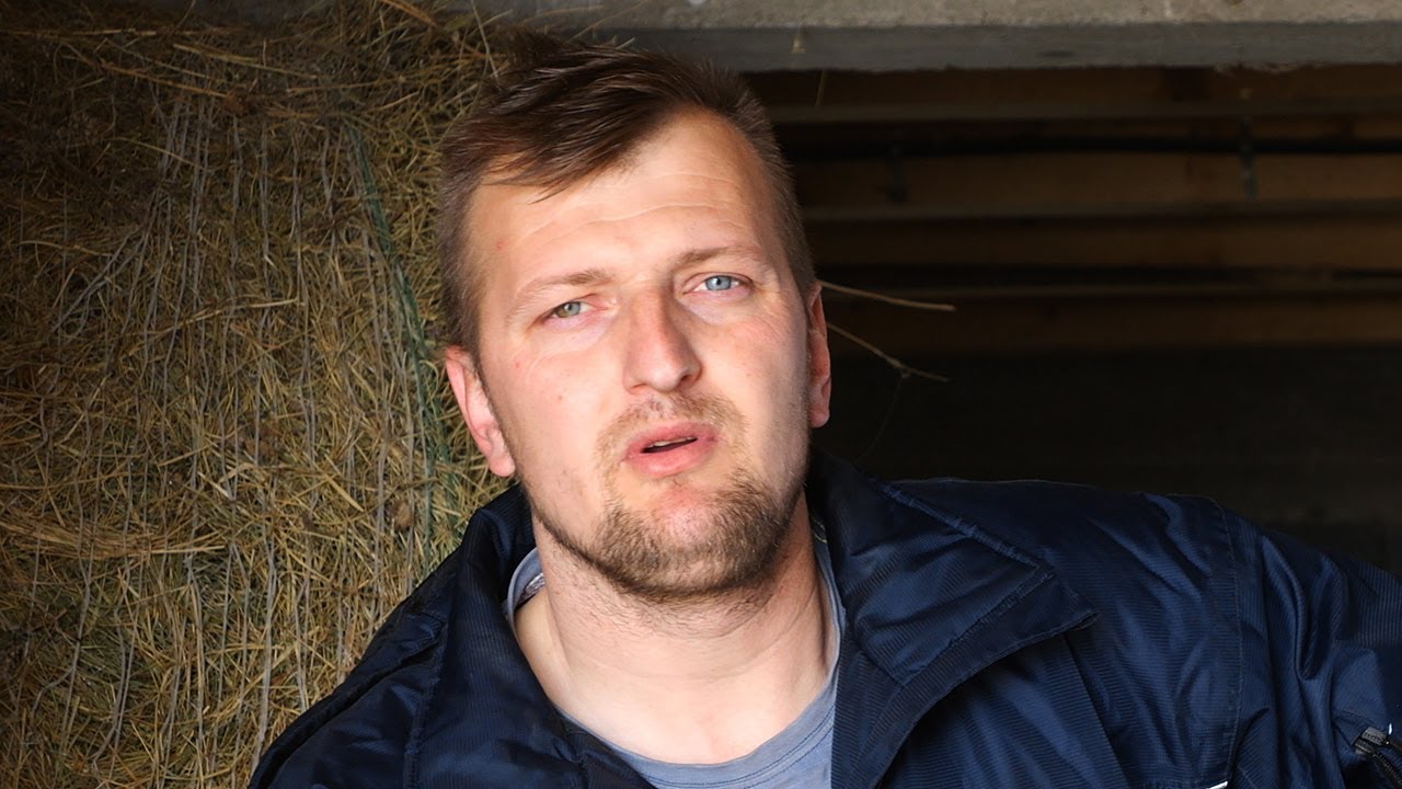 Hamid potrebitim besplatno prevozi donirane životinje