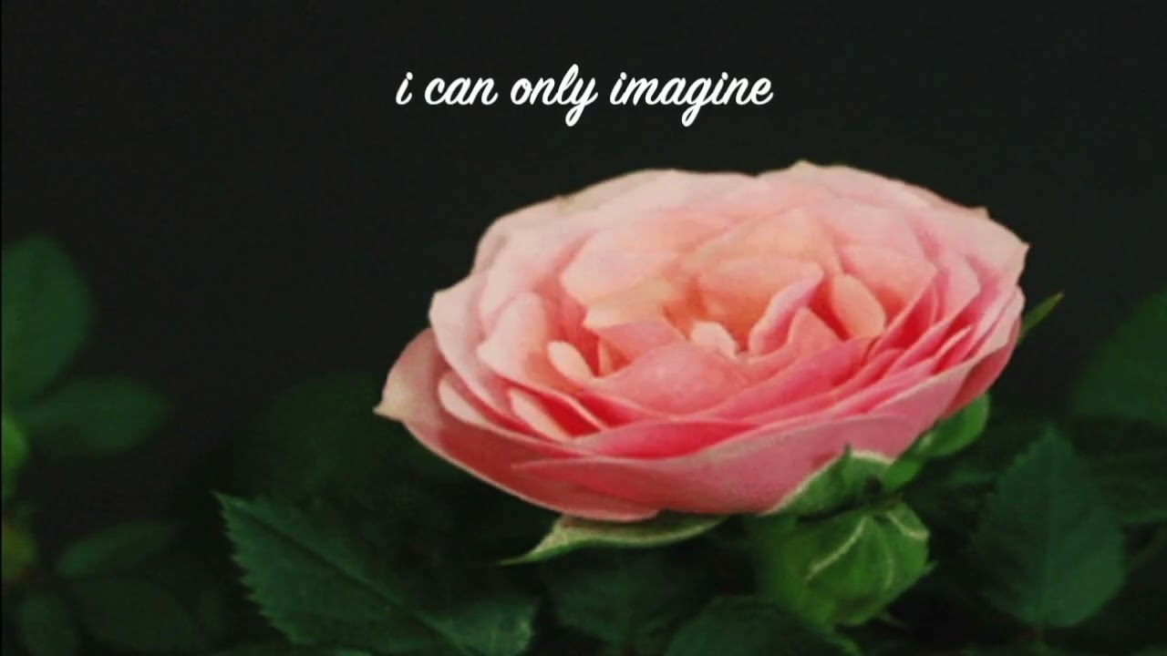 Imagine The Climb (Mashup) Miley Cyrus x Mercy Me
