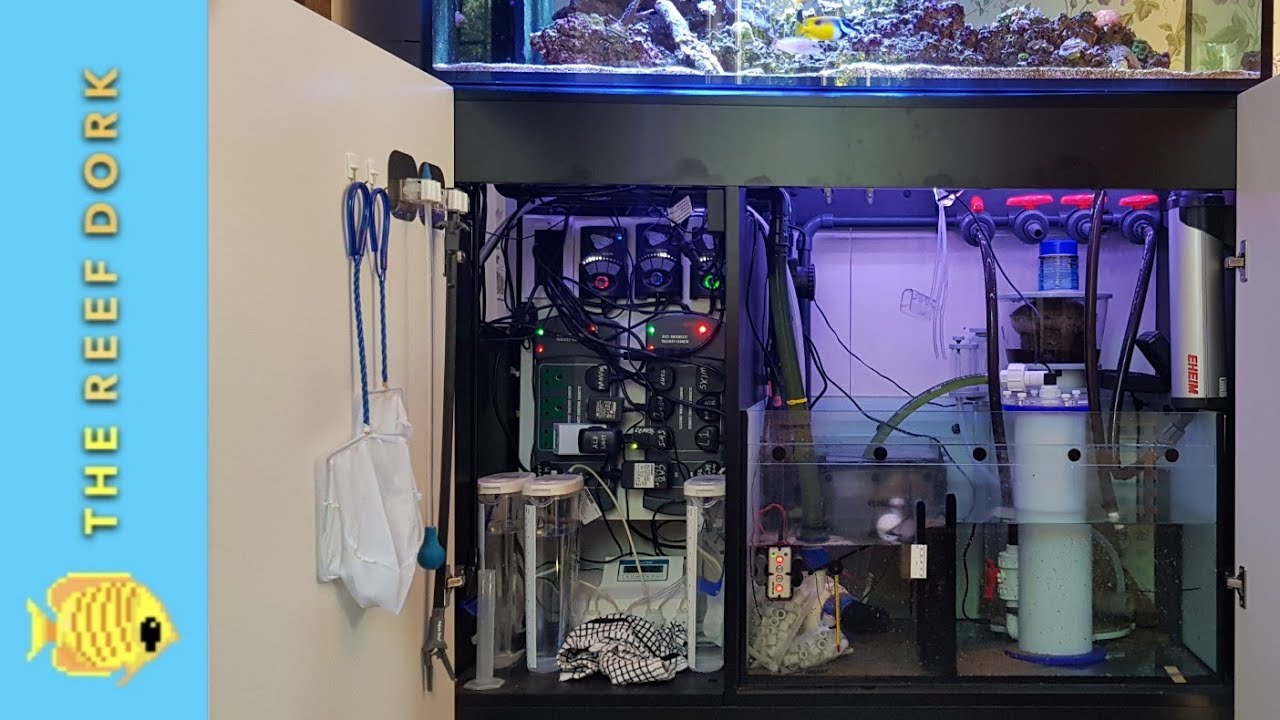 Red Sea Reefer v3 Sump Tour/Review